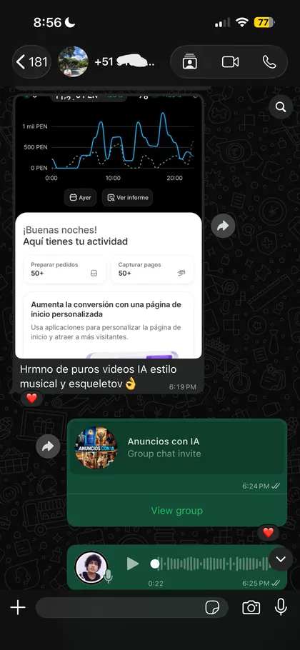 Testimonio de alumno en el grupo de WhatsApp 11